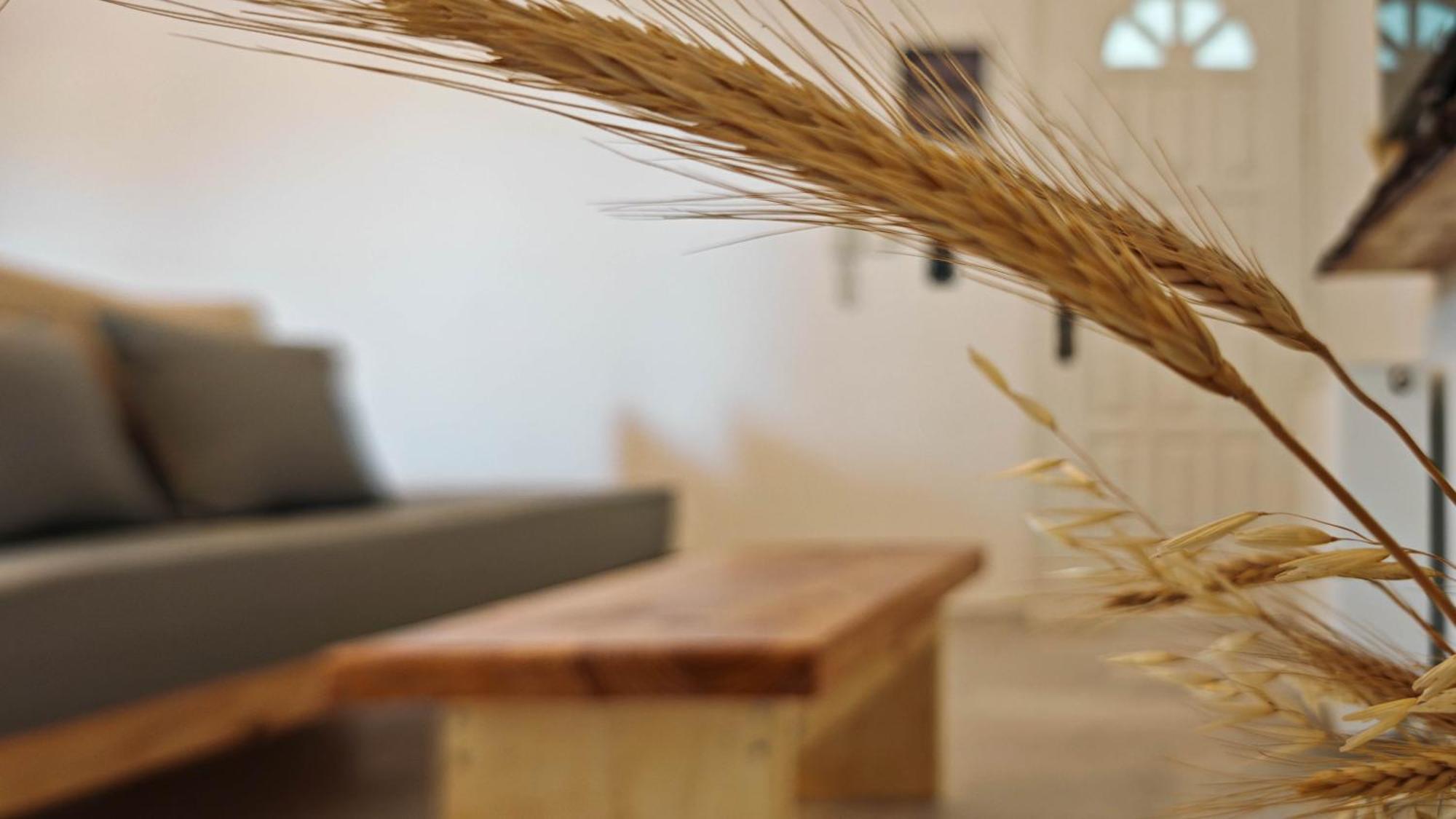 Naxos City Paraga Suites מראה חיצוני תמונה